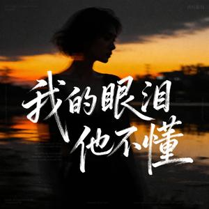 我的眼泪他不懂
