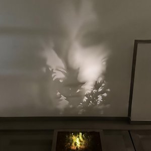 你的城市又下雨