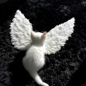 谎恋（prod by EVO MUSIC）