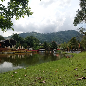 Bala bala