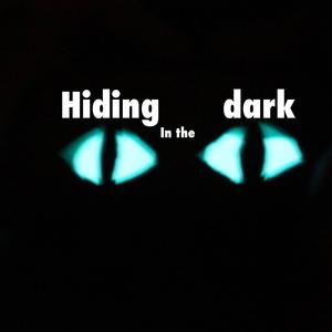 Hiding in the Dark