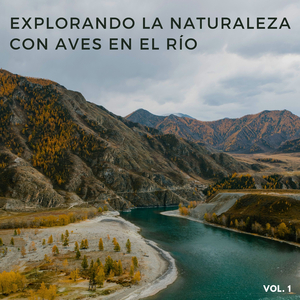 Levantándose Y Saltando