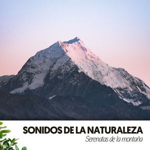 Movimientos Majestuosos