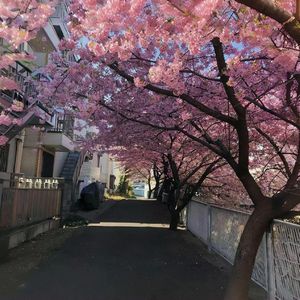 走过那小城 伴奏