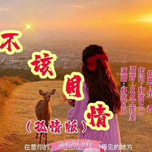 不该用情 （孤情版）