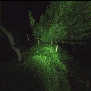 ტყეში (feat. Local2244)