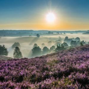 渲染了整个夏天