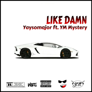 Like Damn (feat. Ym Mystery)