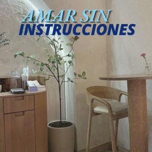 Amar Sin Instrucciones