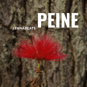 Peine