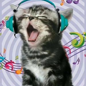 啊嘉死我兔菲略落哦噢呜～呜～