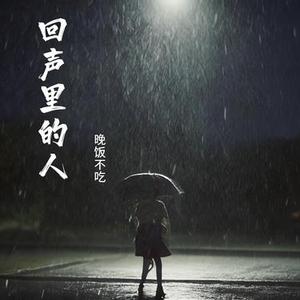 回声里的人