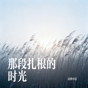 那段扎根的时光
