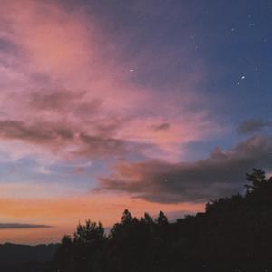 #13. “见到你的时候，我的动脉血和静脉血都流到了一起。”