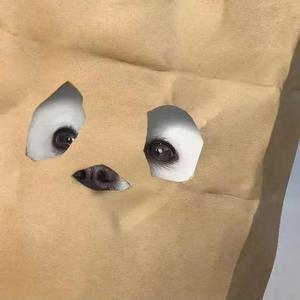 Yyyy