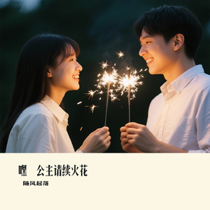 嘿 公主请续火花