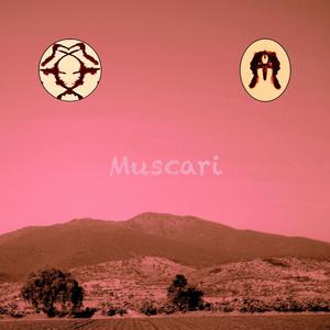 Muscari