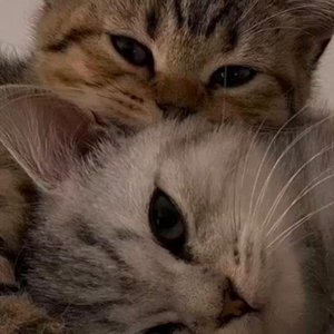 Düşlerinde Yansın