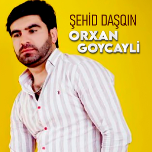 Şehid Daşqın
