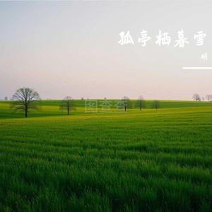 素心向明月