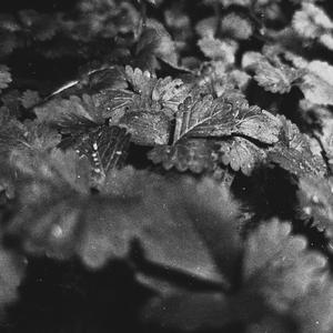 I Just Want To Sleep (Goodnight)