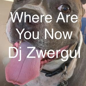 Where Are You Now