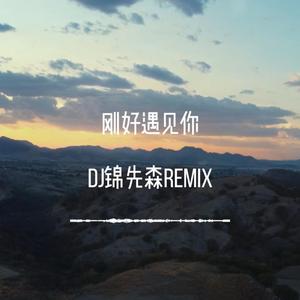 刚好遇见你（DJ锦先森 Remix）