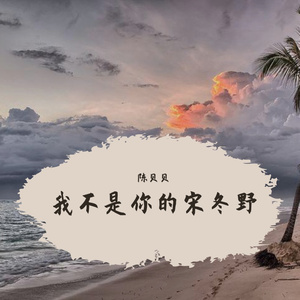 我不是你的宋冬野