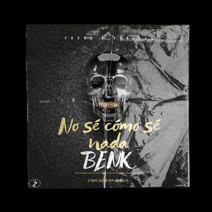 NO SÉ CÓMO SÉ NADA