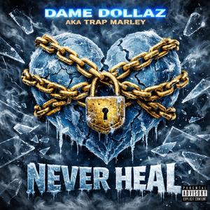 NEVER HEAL
