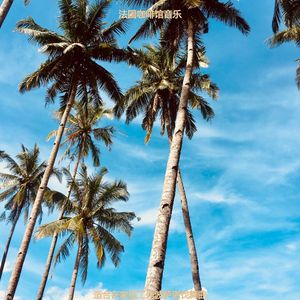 适合在家里工作了解音乐