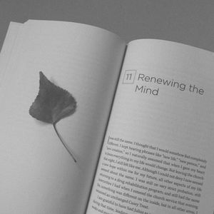 抚慰的图书回忆