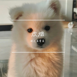 月下独酌思故人