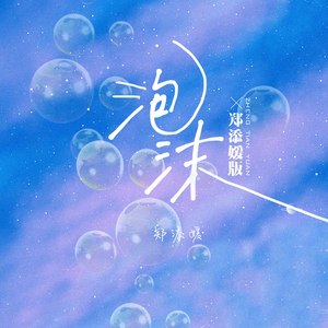 泡沫 (郑添媛版|DJheap九天Rmeix)