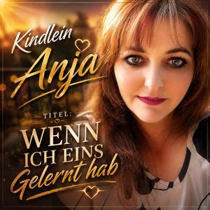 WENN ICH EINS GELERNT HAB