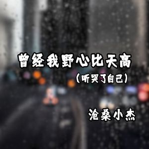 曾经我野心比天高 (听哭了自己)