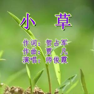 小草 伴奏