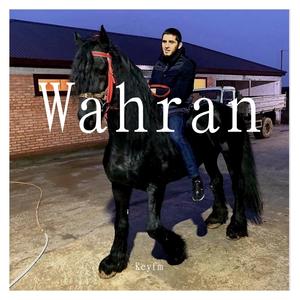 Randall-Wahran（蓝天 （伴奏） remix）