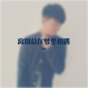 离别总在梦里相遇