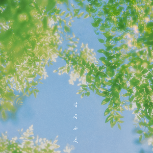 清荷雨夏