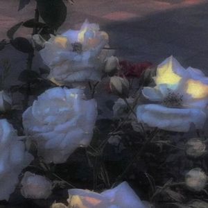 这首命名为爱. dream