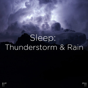 호우 잠