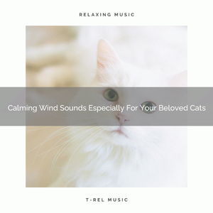 Relaxing Leaves Whispers Especially For Indoors Cats