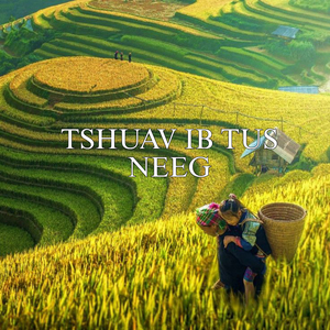 Tshuav ib tus neeg