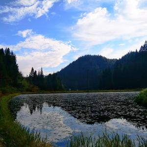 我想在今晚离开demo