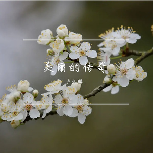 美丽的传奇Prod By $tan