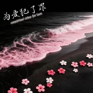为爱犯了罪 (R&B版)