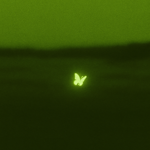 INFP’s Diary (Night)