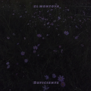 Suficiente