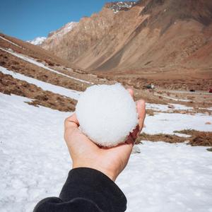 Lo que no pudimos ser